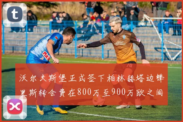 沃尔夫斯堡正式签下柏林赫塔边锋里斯转会费在800万至900万欧之间